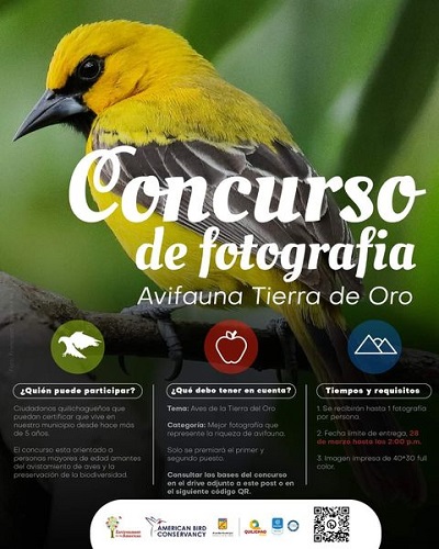 concurso fotográfico y concurso infantil de pintura y dibujo