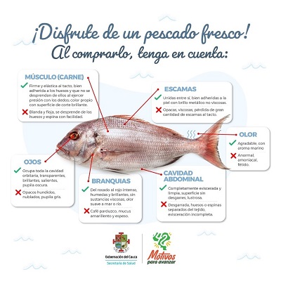 Campaña recomendaciones compra de pescado en semana santa