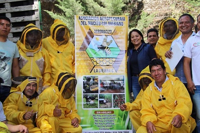 sector apícola caucano