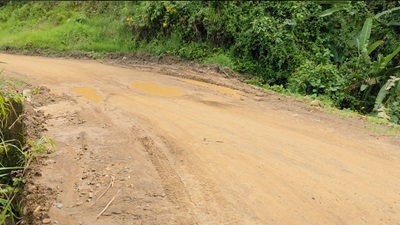 gobernación del Cauca