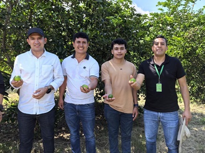 gobernación del Cauca