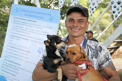 esterilizacion