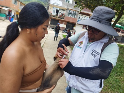 Secretaria de salud departamental del Cauca