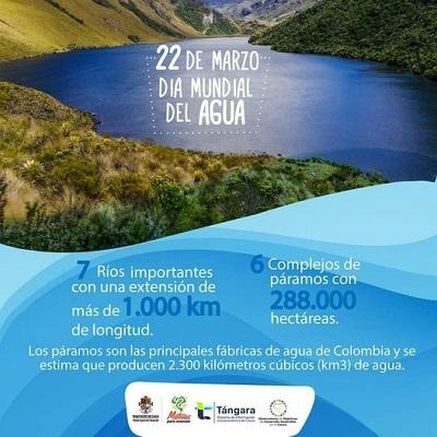 Día del agua 