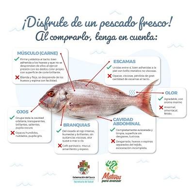 Campaña recomendaciones compra de pescado en semana santa 