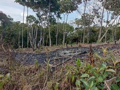 Finca la Esperanza, Multivisión 