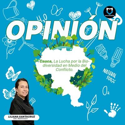 Opinión 