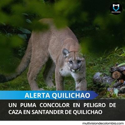 imagen de internet 