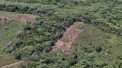 Foto Reserva Japio 