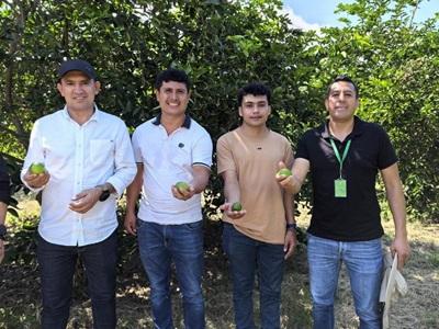 gobernación del Cauca