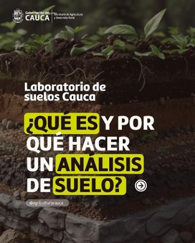 suelo