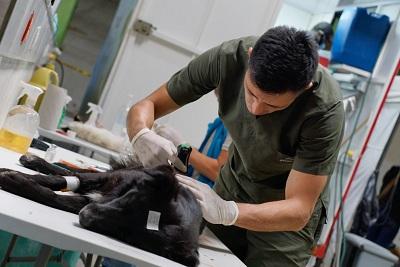 esterilizacion