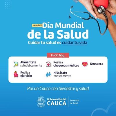 Secretaria de salud departamental del Cauca